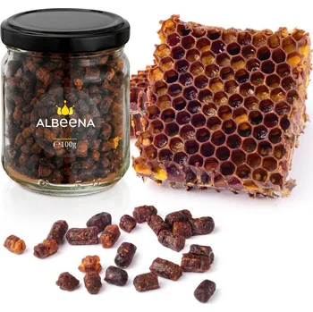 Přírodní produkt Včelí chléb perga - 100 g