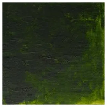 Olejová barva Olejová barva W&N Alkyd 37ml – 503 Permanent Sap Green