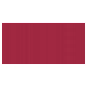 Výtvarná barva Kvašová barva Akademie 60ml - 312 bordeaux