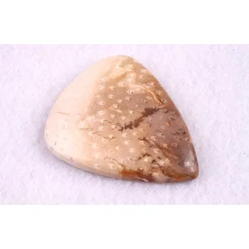 Přírodní kámen Kabošon Palmový Achát č.5273 (32x25x5mm)