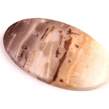 Přírodní kámen Kabošon Palmový Achát č.5254 (48x28x5mm)