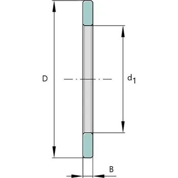GS 81107 INA Tělesový kroužek