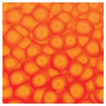 Speciální výtvarná barva Barva Pébéo Fantasy Prisme 45ml – 61 Fluorescent orange