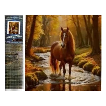 Diamantové malování Diamantové malování 30x40cm kůň v potoce