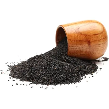 Sušená potravina Sezam černý BIO 500 g VIA NATURAE