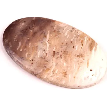 Sběratelství Kabošon Palmový Achát č.5252 (51x30x5mm)