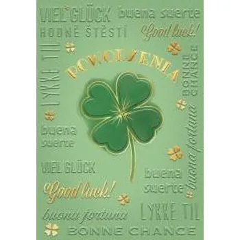 Set školních potřeb Karnet A5 Powodzenia - Duża koniczyna