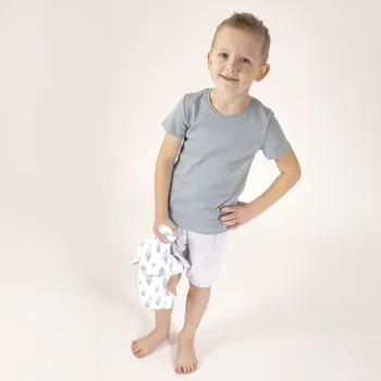 Chlapecké pyžamo Chlapecký set tričko+kraťasy Liam, 116