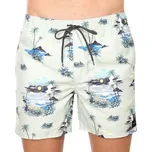 Pánské plavky Rip Curl vícebarevné (047MBO-67) L