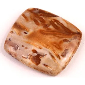 Přírodní kámen Kabošon Palmový Achát č.5262 (27x25x6mm)