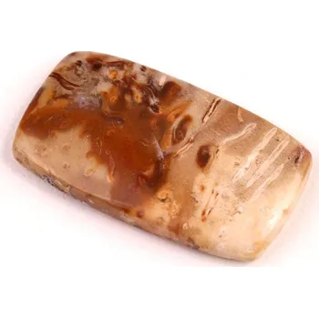 Přírodní kámen Kabošon Palmový Achát č.5264 (37x21x6mm)