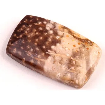 Přírodní kámen Kabošon Palmový Achát č.5265 (31x19x7mm)