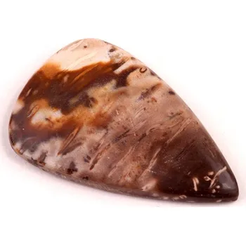 Přírodní kámen Kabošon Palmový Achát č.5263 (38x24x5mm)