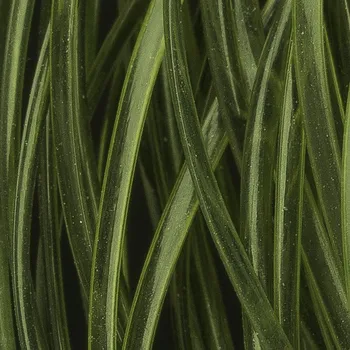 Hends Body Glass Half Round Micro Dark Olive Brown