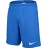 NIKE Dri-FIT Park III BV6855-463