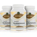 2+1 Golden Nature Kyselina hyaluronová+Rybí kolagen+Vit. C 300 cps.