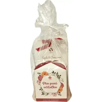 Vánoční dekorace Dárkové balení Pro paní učitelku