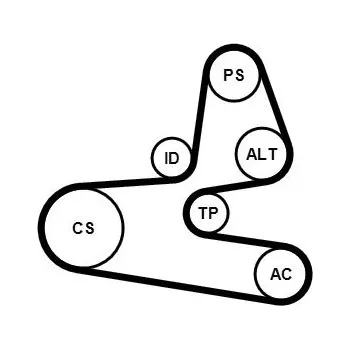Sada žebrovaných klínových řemenů CONTINENTAL CTAM 6PK1564K1