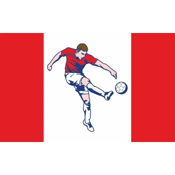 Vlajka Fotbalové vlajky - 60 x 90 cm - tunel, karabina