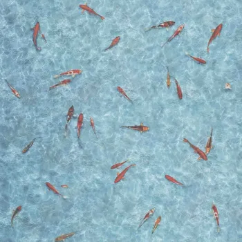 vinylová podlaha BEAULIEU PVC TEX-MAXIMA 2003 ŠÍŘKA: 2 m, POUŽITÍ: Bytové