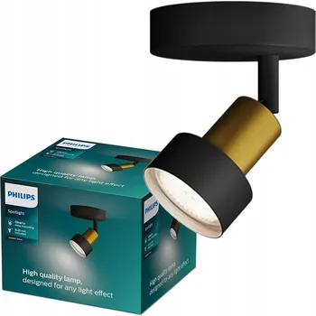 Nástěnné svítidlo Nástěnná lampa GU10 Černo-Měděná Conduit Philips