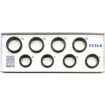 Chytré hodinky Tesla Zkušební sada Ring G55