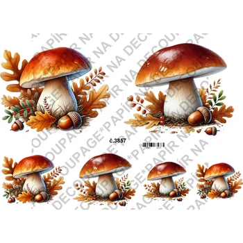 Umělecký papír Rýžový a soft papír na decoupage - Hříbky - KB03857 Materiál: Soft, Rozměr: A4