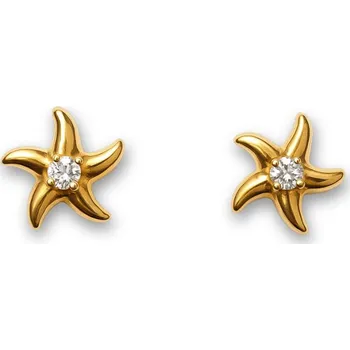 Náušnice Náušnice Hvězdice Gold 3082