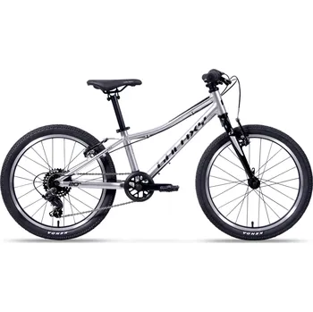 Dětské kolo GALAXY CETIS LITE 20" STŘÍBRNÁ Nevíte kde uplatnit Benefity obecně, zeptej se info@megabike-cyklo.cz