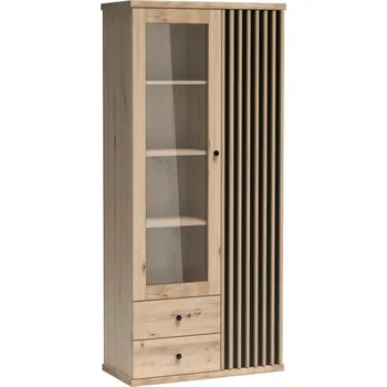 Obývací stěna Casarredo Vitrína 2D2S BARBUS dub artisan/černá