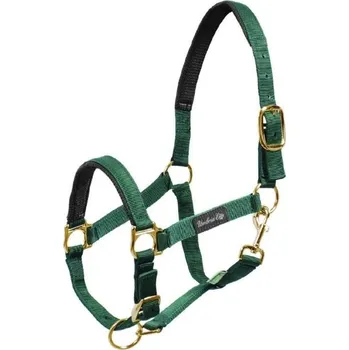 Vybavení pro koně Ohlávka UMBRIA EQUITAZIONE podšitá neoprenem zelená FULL