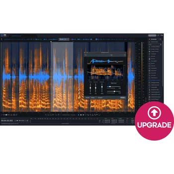 Hudební software iZotope RX 11 Advanced: UPG from any previous RX Standard (Digitální produkt)