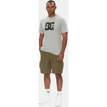 Pánské tričko DC Shoes T-Shirt ADYZT05373 Šedá Regular Fit XXL