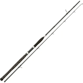 Rybářský prut PENN Legion Cat Silver Spin 270 cm/40-160 g
