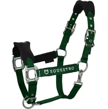 Ohlávka s vodítkem EQUESTRO nastavitelná zelená COB