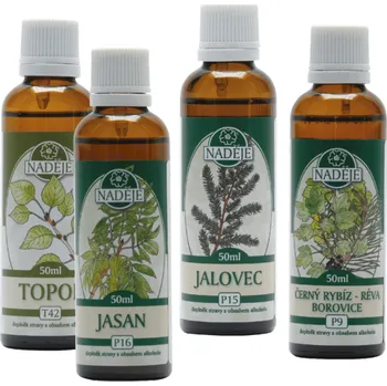 K24 Kura na posílení a podporu detoxikace po borelióze