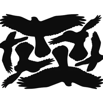 Walteco Siluety dravců samolepicí, 6 ks