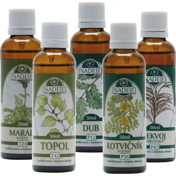 Podpora účinnosti K19