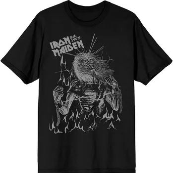 Pánské tričko Iron Maiden Est. 1975 Life After Death Flames Black L Tričko