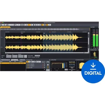 Hudební software Acon Digital Acoustica Premium Edition 7.x (Digitální produkt)