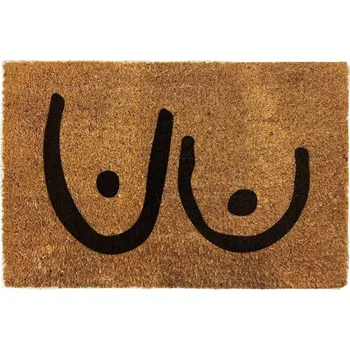 Rohožka Hotová gumová kokosová rohožka 40 x 60 cm