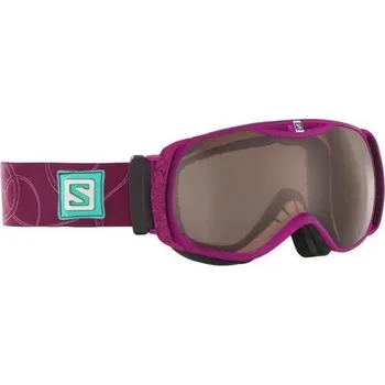 Sjezdové lyžování Lyžařské brýle Salomon Xtend S rabs/UM A. grey universal