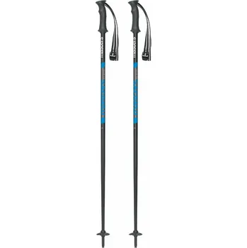 Sjezdová hůlka lyžařské hole MASTERS Builder 125cm black-blue