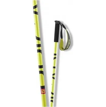 Sport Atomic Hole Salomon Brigade 15/16 yellow/black délka holí (cm): 120