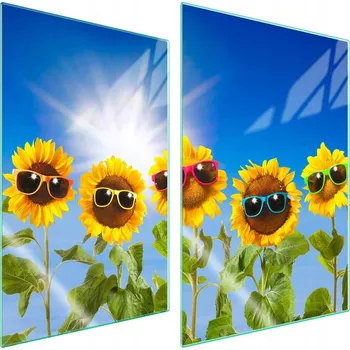 Obraz Skleněná ochranná deska na sporák 2x35x52 Květina