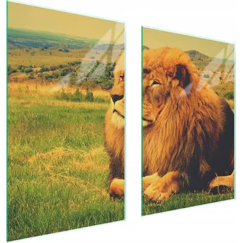 Obraz Skleněná ochranná deska na sporák 65x52 Lev