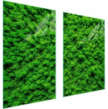 Obraz Skleněná ochranná deska na sporák 65x52 Barva