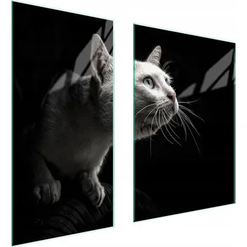 Obraz Skleněná ochranná deska na sporák 75x52 Kočka