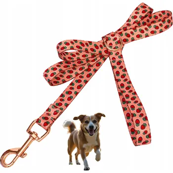 Vodítko pro psa Vodítko pro psa, silný tréninkový popruh s přepínáním, jahodový motiv, 1,2 m