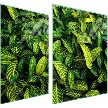 Obraz Skleněná ochranná deska na sporák 70x52 List